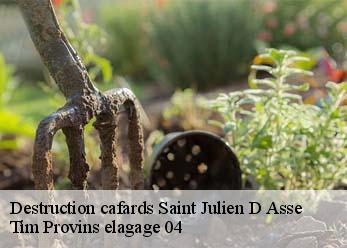 Destruction cafards  saint-julien-d-asse-04270 Tim Provins elagage 04