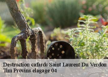 Destruction cafards  saint-laurent-du-verdon-04500 Tim Provins elagage 04