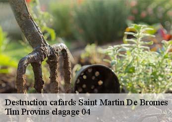 Destruction cafards  saint-martin-de-bromes-04800 Tim Provins elagage 04