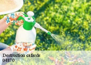 Destruction cafards 04870