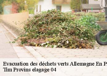 Evacuation des déchets verts  allemagne-en-provence-04550 Tim Provins elagage 04