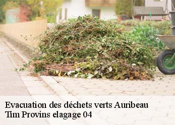 Evacuation des déchets verts auribeau-04380 Tim Provins elagage 04