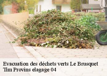 Evacuation des déchets verts  le-brusquet-04420 Tim Provins elagage 04