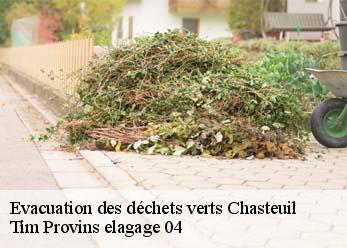 Evacuation des déchets verts  chasteuil-04120 Tim Provins elagage 04