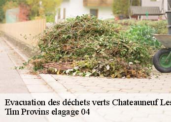 Evacuation des déchets verts  chateauneuf-les-moustiers-04120 Tim Provins elagage 04