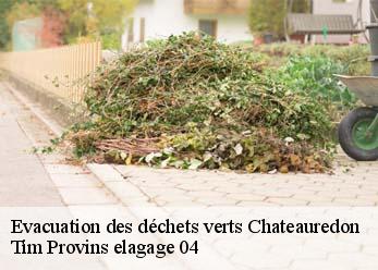 Evacuation des déchets verts  chateauredon-04270 Tim Provins elagage 04