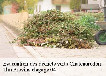 Evacuation des déchets verts chateauredon-04270 Tim Provins elagage 04