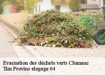 Evacuation des déchets verts  clumanc-04330 Tim Provins elagage 04