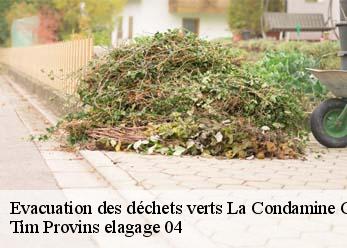Evacuation des déchets verts  la-condamine-chatelard-04530 Tim Provins elagage 04
