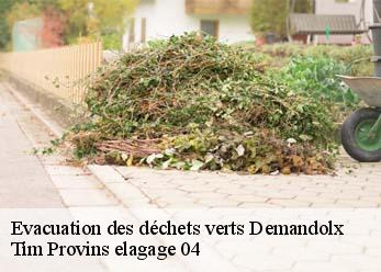 Evacuation des déchets verts  demandolx-04120 Tim Provins elagage 04