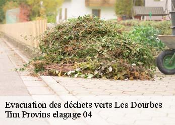 Evacuation des déchets verts  les-dourbes-04000 Tim Provins elagage 04