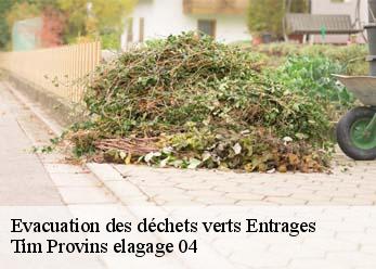 Evacuation des déchets verts  entrages-04000 Tim Provins elagage 04