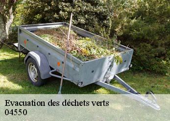 Evacuation des déchets verts  04550