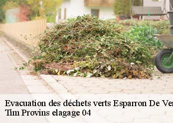 Evacuation des déchets verts  esparron-de-verdon-04550 Tim Provins elagage 04