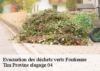 Evacuation des déchets verts  fontienne-04230 Tim Provins elagage 04