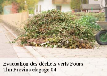 Evacuation des déchets verts  fours-04400 Tim Provins elagage 04