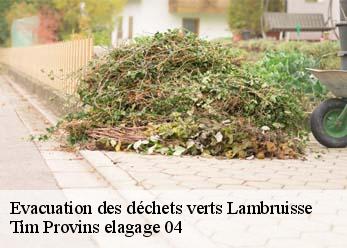 Evacuation des déchets verts  lambruisse-04170 Tim Provins elagage 04