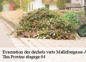 Evacuation des déchets verts mallefougasse-auges-04230 Tim Provins elagage 04