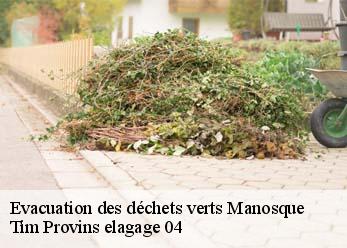 Evacuation des déchets verts  manosque-04100 Tim Provins elagage 04