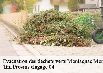 Evacuation des déchets verts  montagnac-montpezat-04500 Tim Provins elagage 04