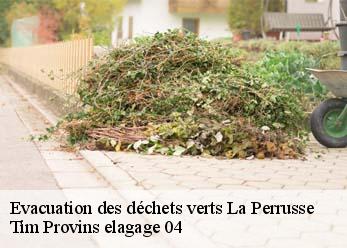 Evacuation des déchets verts  la-perrusse-04380 Tim Provins elagage 04