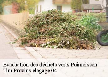 Evacuation des déchets verts  puimoisson-04410 Tim Provins elagage 04
