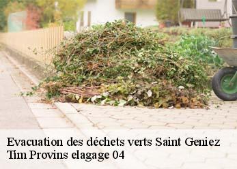 Evacuation des déchets verts  saint-geniez-04200 Tim Provins elagage 04
