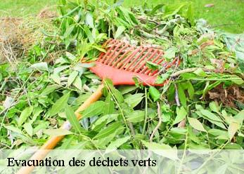 Evacuation des déchets verts