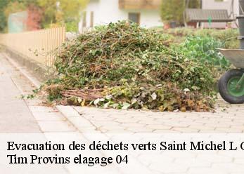Evacuation des déchets verts  saint-michel-l-observatoire-04870 Tim Provins elagage 04