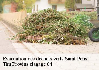 Evacuation des déchets verts  saint-pons-04400 Tim Provins elagage 04