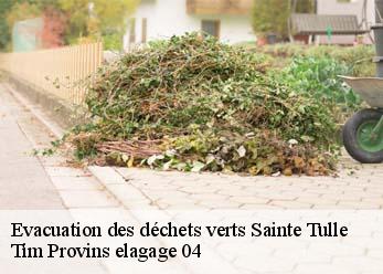 Evacuation des déchets verts  sainte-tulle-04220 Tim Provins elagage 04