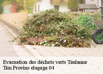 Evacuation des déchets verts  taulanne-04120 Tim Provins elagage 04