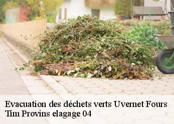 Evacuation des déchets verts  uvernet-fours-04400 Tim Provins elagage 04