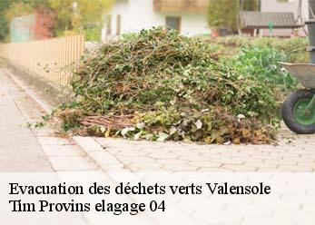 Evacuation des déchets verts  valensole-04210 Tim Provins elagage 04