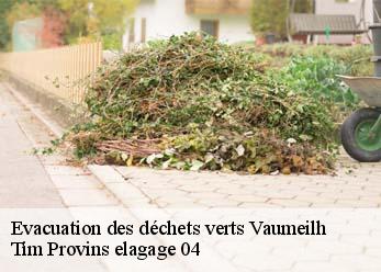 Evacuation des déchets verts  vaumeilh-04200 Tim Provins elagage 04