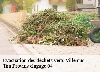Evacuation des déchets verts  villemus-04110 Tim Provins elagage 04