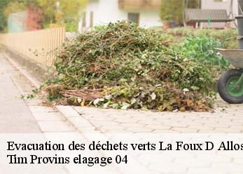 Evacuation des déchets verts la-foux-d-allos-04260 Tim Provins elagage 04
