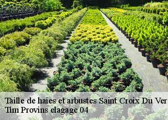 Taille de haies et arbustes  saint-croix-du-verdon-04500 Tim Provins elagage 04