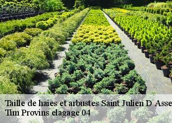 Taille de haies et arbustes saint-julien-d-asse-04270 Tim Provins elagage 04