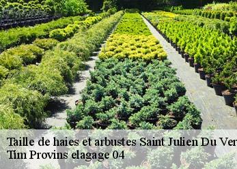 Taille de haies et arbustes  saint-julien-du-verdon-04170 Tim Provins elagage 04