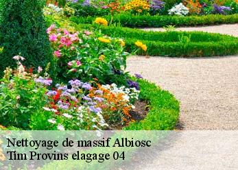Nettoyage de massif albiosc-04550 Tim Provins elagage 04