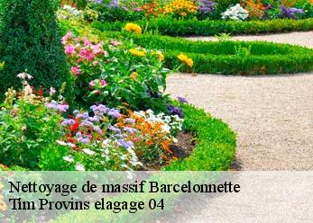 Nettoyage de massif  barcelonnette-04400 Tim Provins elagage 04