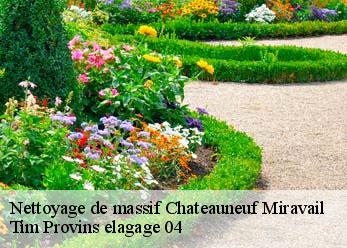 Nettoyage de massif chateauneuf-miravail-04200 Tim Provins elagage 04