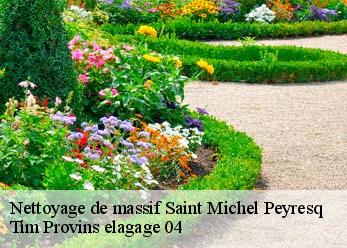 Nettoyage de massif  saint-michel-peyresq-04170 Tim Provins elagage 04