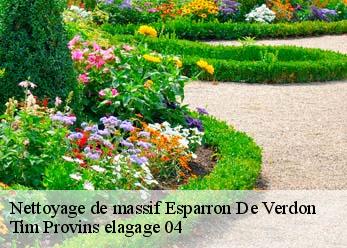 Nettoyage de massif esparron-de-verdon-04550 Tim Provins elagage 04