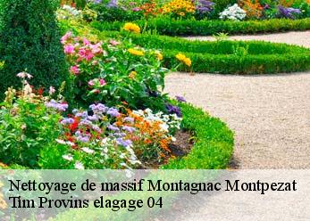Nettoyage de massif  montagnac-montpezat-04500 Tim Provins elagage 04