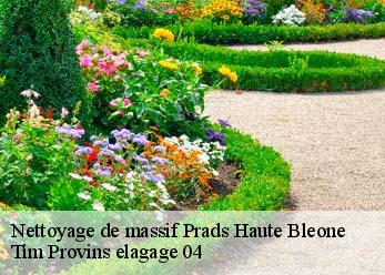Nettoyage de massif prads-haute-bleone-04420 Tim Provins elagage 04