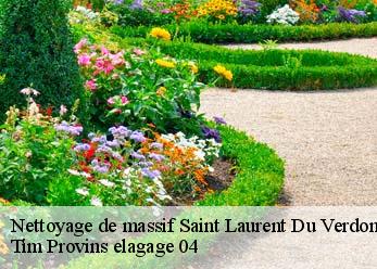 Nettoyage de massif saint-laurent-du-verdon-04500 Tim Provins elagage 04