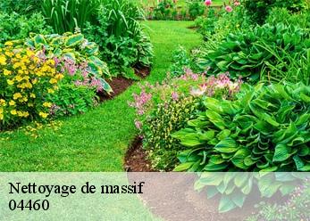 Nettoyage de massif 04460