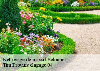 Nettoyage de massif selonnet-04460 Tim Provins elagage 04